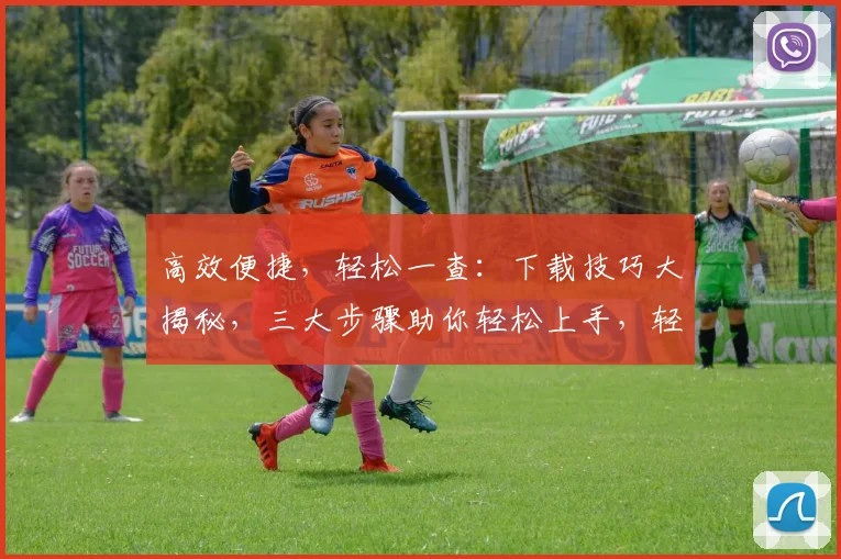 高效便捷，轻松一查：下载技巧大揭秘，三大步骤助你轻松上手，轻松下载