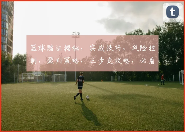 篮球赌法揭秘，实战技巧，风险控制，盈利策略，三步走攻略，必看