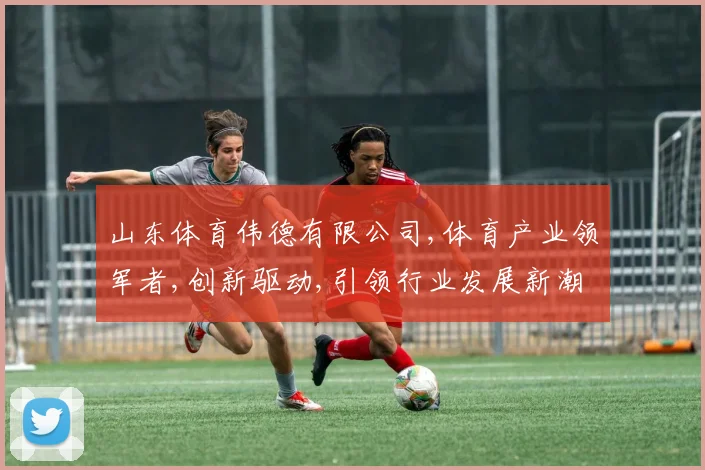山东体育伟德有限公司,体育产业领军者,创新驱动,引领行业发展新潮流
