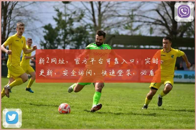新2网址，官方平台可靠入口，实时更新，安全访问，快速登录，必看攻略